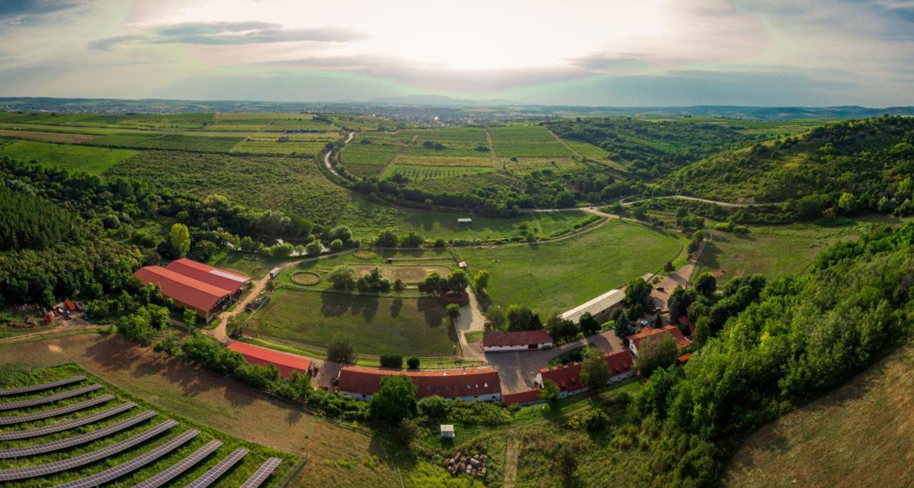 Mátyus Udvarház Eger Exterior foto