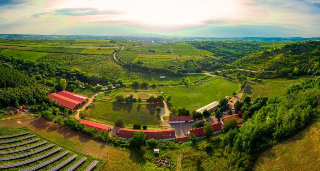 Mátyus Udvarház Eger Exterior foto